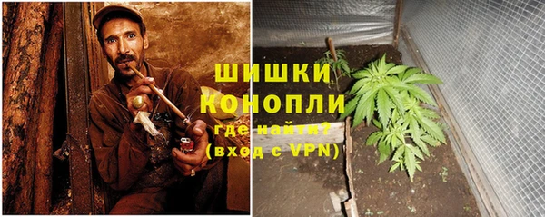 дживик Арсеньев