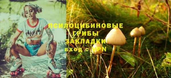 соль ск Армянск