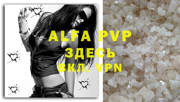 стаф Аркадак