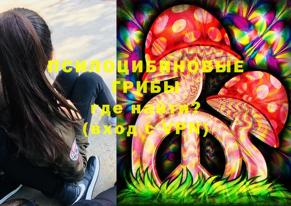 дживик Арсеньев