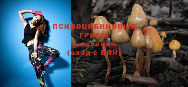 стаф Аркадак