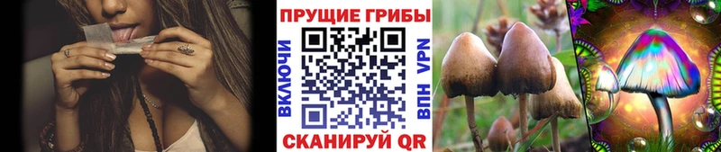 Галлюциногенные грибы GOLDEN TEACHER  наркотики  Черногорск 